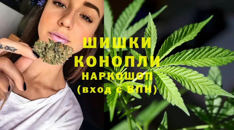 это какой сайт  Губкинский  Конопля White Widow 